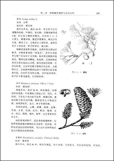 福建省志·生物志_二 [福建省志]