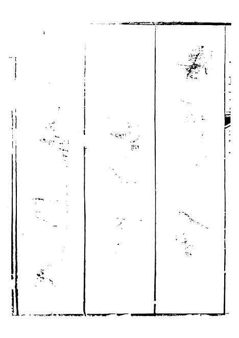 【关中两朝诗文钞】十六 - 李元春汇选守朴堂.pdf