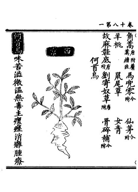 【正统道藏[事下]】上海涵芬楼.pdf