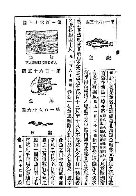 【格致新报】七 - 格致新报馆编.pdf