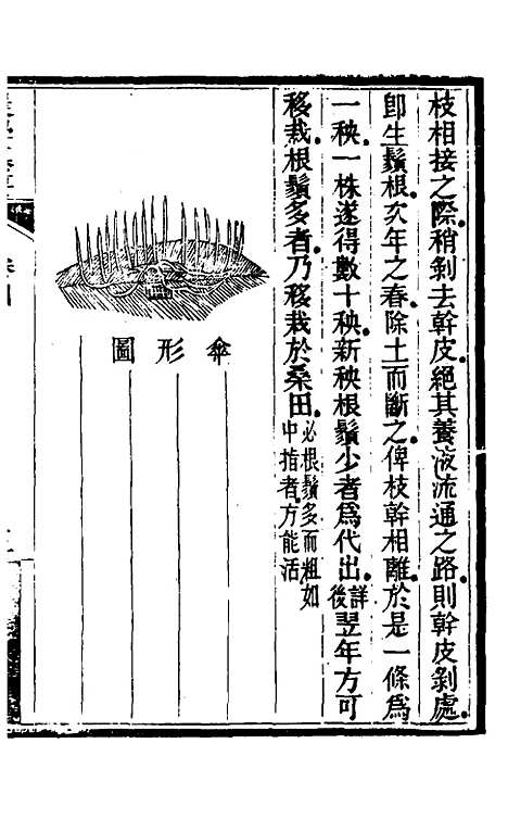 【农学纂要】四 - 陈恢吾.pdf