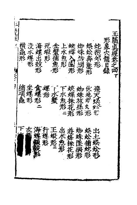 【玉髓真经】五 - 张洞玄.pdf