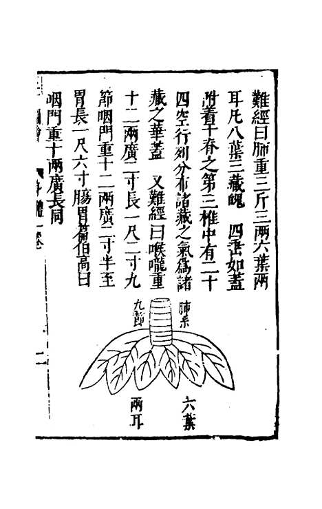 【三才图会】五十五 - 王圻王思义辑.pdf