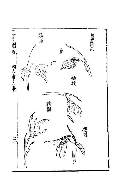 【三才图会】七十 - 王圻王思义辑.pdf