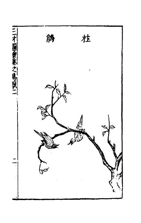 【三才图会】九十 - 王圻王思义辑.pdf