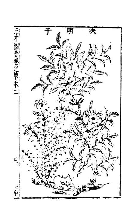 【三才图会】九十六 - 王圻王思义辑.pdf