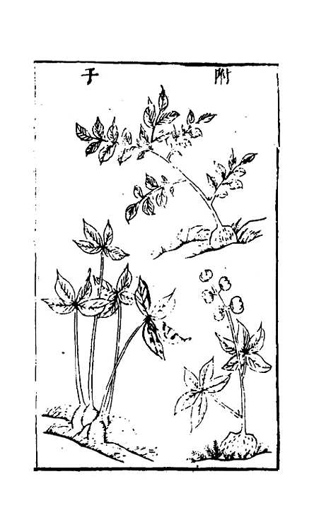 【三才图会】九十八 - 王圻王思义辑.pdf