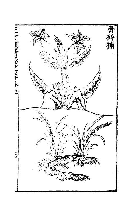 【三才图会】九十九 - 王圻王思义辑.pdf