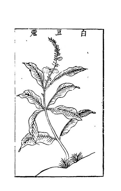 【三才图会】一百一 - 王圻王思义辑.pdf