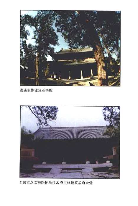 【邹城市文史资料】第十一辑 - 邹城市山东画报.pdf