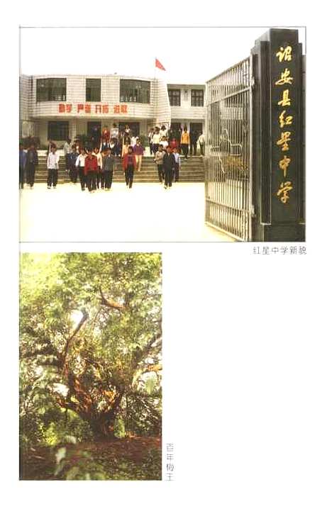 【诏安文史资料】第二十二期 - 诏安县文史委.pdf