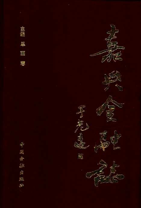 【嘉兴金融志】单丽蓉中国金融.pdf