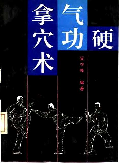 【硬气功拿穴术】安在峰北京体育学院.pdf