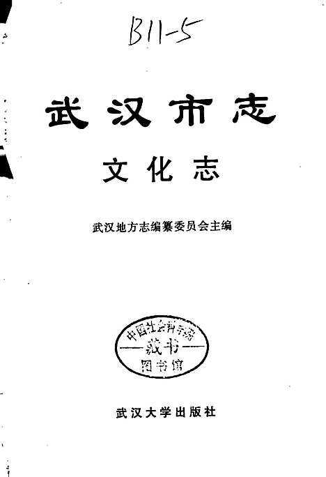 武汉市志文化志（湖北）武汉市志.pdf