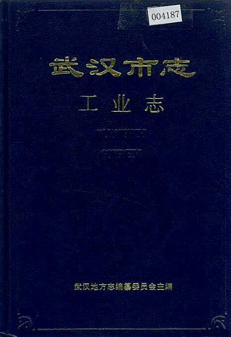 武汉市志工业志下卷（湖北）武汉市志.pdf