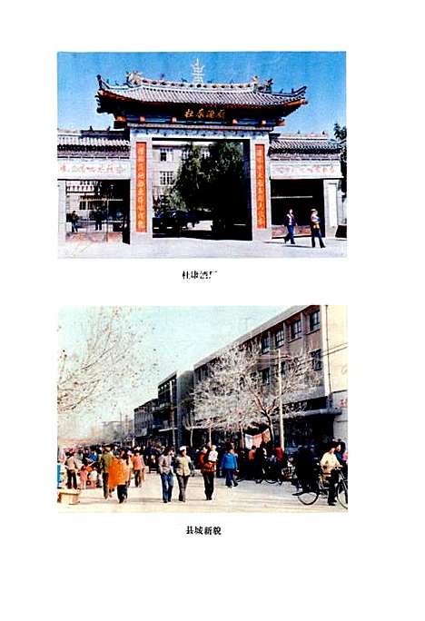 白水县志（陕西）白水县志.pdf