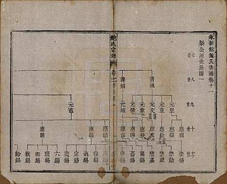 安徽[鲍姓] 歙新馆鲍氏着存堂宗谱十六卷 — 清光绪元年（1875）_十一.pdf