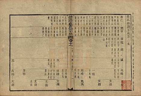 浙江[蔡姓] 德清蔡氏宗谱十二卷 — 民国九年（1920）_十一.pdf