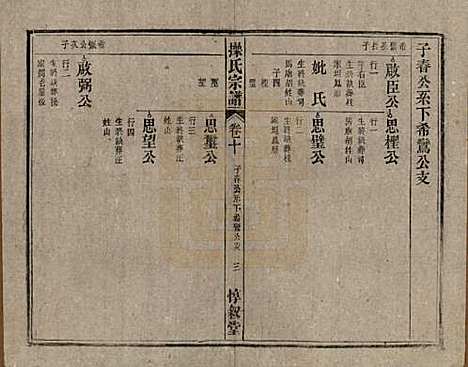 安徽[操姓] 操氏宗谱六十三卷 — 民国三十七年（1948）_十.pdf