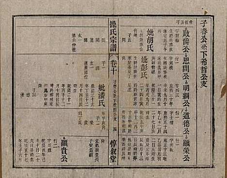 安徽[操姓] 操氏宗谱六十三卷 — 民国三十七年（1948）_十.pdf