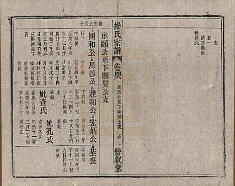 安徽[操姓] 操氏宗谱六十三卷 — 民国三十七年（1948）_四十六.pdf