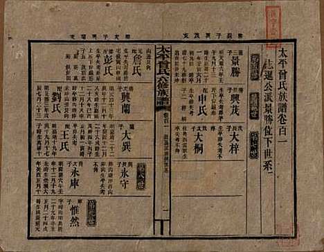 太平[曾姓] 民国13年[1924] — _一百一.pdf