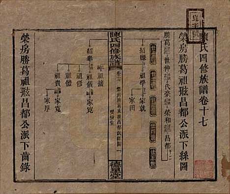 湖南[陈姓] 陈氏四修族谱 — 民国33年[1944]_十七.pdf