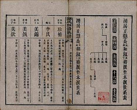 湖南[陈姓] 陈氏四修族谱 — 民国37年[1948]_十七.pdf