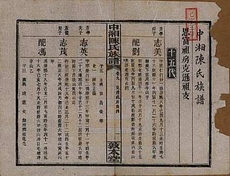 湖南[陈姓] 中湘陈氏族谱三十二卷 — 民国九年（1920）_九.pdf