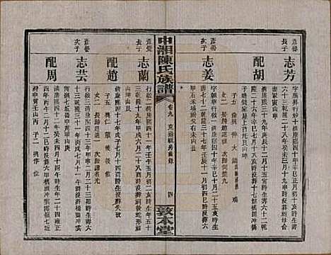 湖南[陈姓] 中湘陈氏族谱三十二卷 — 民国九年（1920）_九.pdf