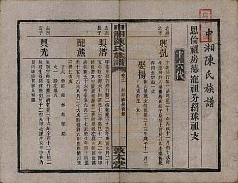 湖南[陈姓] 中湘陈氏族谱三十二卷 — 民国九年（1920）_十一.pdf