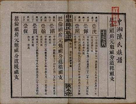 湖南[陈姓] 中湘陈氏族谱三十二卷 — 民国九年（1920）_十四.pdf