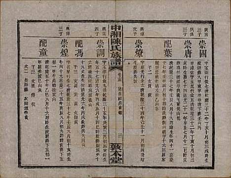 湖南[陈姓] 中湘陈氏族谱三十二卷 — 民国九年（1920）_十五.pdf