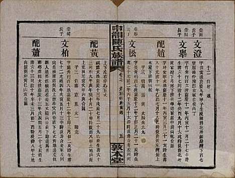 湖南[陈姓] 中湘陈氏族谱三十二卷 — 民国九年（1920）_十七.pdf