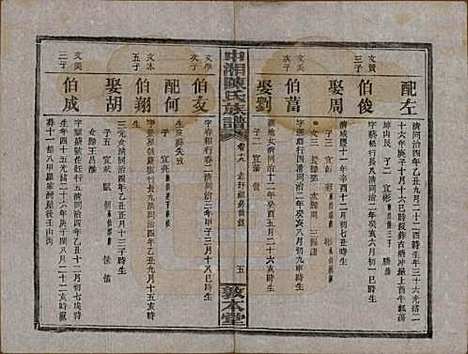 湖南[陈姓] 中湘陈氏族谱三十二卷 — 民国九年（1920）_十九.pdf