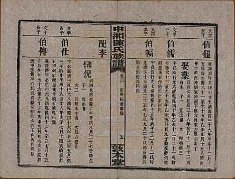 湖南[陈姓] 中湘陈氏族谱三十二卷 — 民国九年（1920）_二十一.pdf