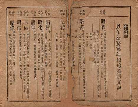 湖南[陈姓] 陈氏族谱不分卷 — 清同治三年（1864）_八.pdf