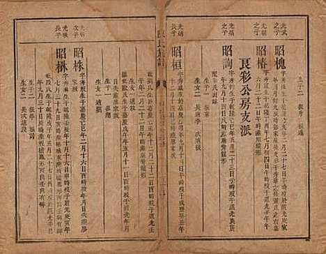 湖南[陈姓] 陈氏族谱不分卷 — 清同治三年（1864）_八.pdf