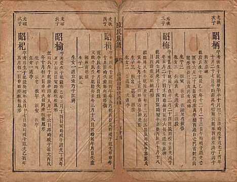 湖南[陈姓] 陈氏族谱不分卷 — 清同治三年（1864）_八.pdf