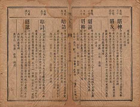 湖南[陈姓] 陈氏族谱不分卷 — 清同治三年（1864）_八.pdf