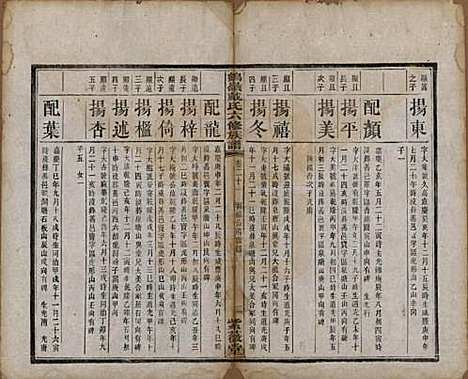 湖南[戴姓] 鹤岭戴氏六修族谱 — 民国20年(1921)_十一.pdf