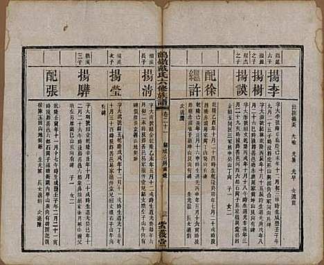 湖南[戴姓] 鹤岭戴氏六修族谱 — 民国20年(1921)_十一.pdf