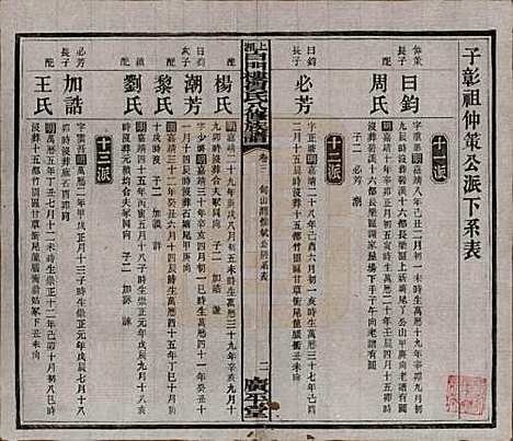 湖南[贺姓] 上湘白门楼贺氏八修族谱 — 民国36年[1947]_三.pdf