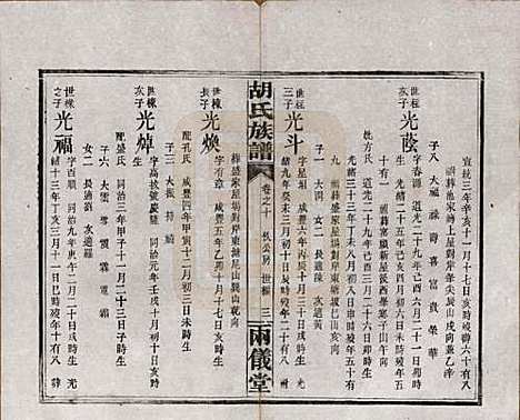 湖南[胡姓] 胡氏族谱十一卷卷末一卷 — 民国9年（1920）_十.pdf