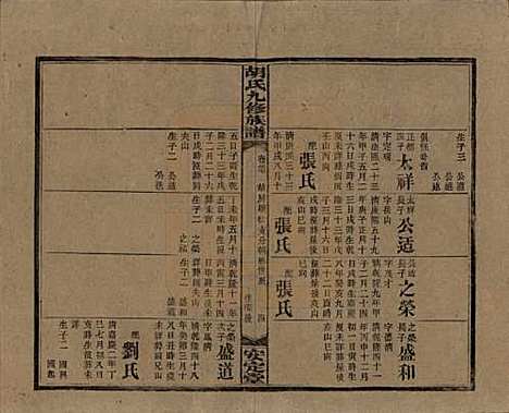 湖南[胡姓] 胡氏九修族谱六十卷卷首三卷 — 民国二十四年（1935）_三十七.pdf