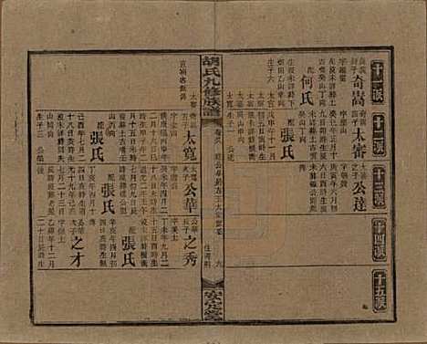 湖南[胡姓] 胡氏九修族谱六十卷卷首三卷 — 民国二十四年（1935）_三十八.pdf