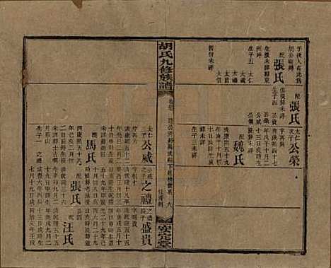 湖南[胡姓] 胡氏九修族谱六十卷卷首三卷 — 民国二十四年（1935）_四十七.pdf