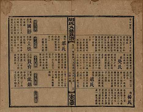 湖南[胡姓] 胡氏八修族谱四十六卷卷首三卷 — 清光绪三十二年（1906）_二十一.pdf