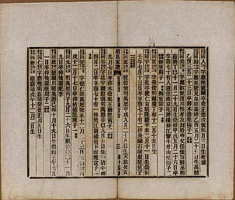 浙江[胡姓] 胡氏家谱二十六卷首一卷 — 清光绪十四年（1888）_十八.pdf