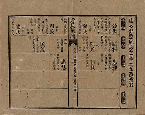 湖南[蒋姓] 蒋氏族谱 — 清光绪11年（1885）_九.pdf